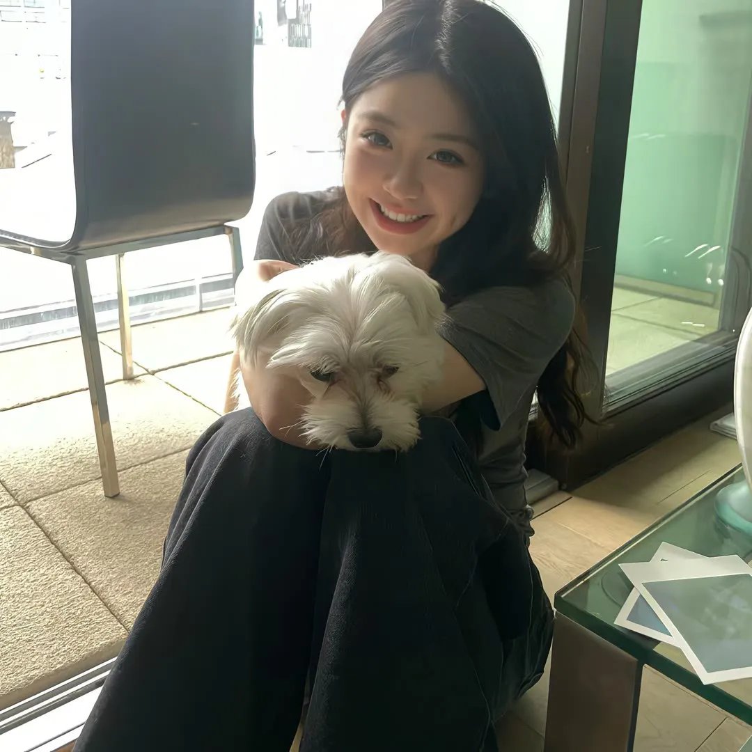 救援狗